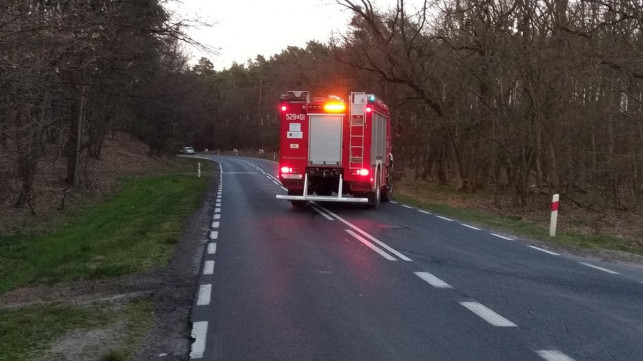 Wypadek na leśnej drodze. Mężczyzna z zakazem prowadzenia pojazdów w szpitalu - Zdjęcie główne