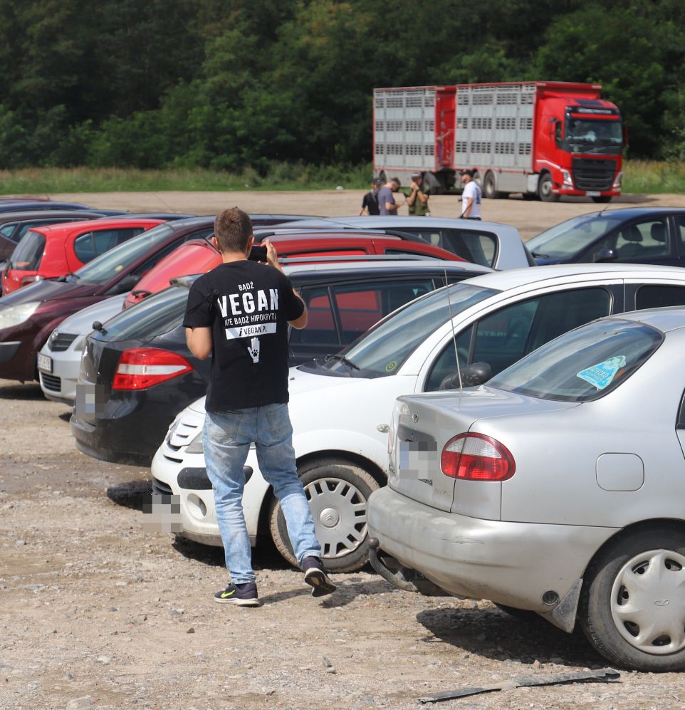 Weganie zorganizowali akcję pod kutnowską ubojnią trzody chlewnej. Rozmawiamy z jednym z nich