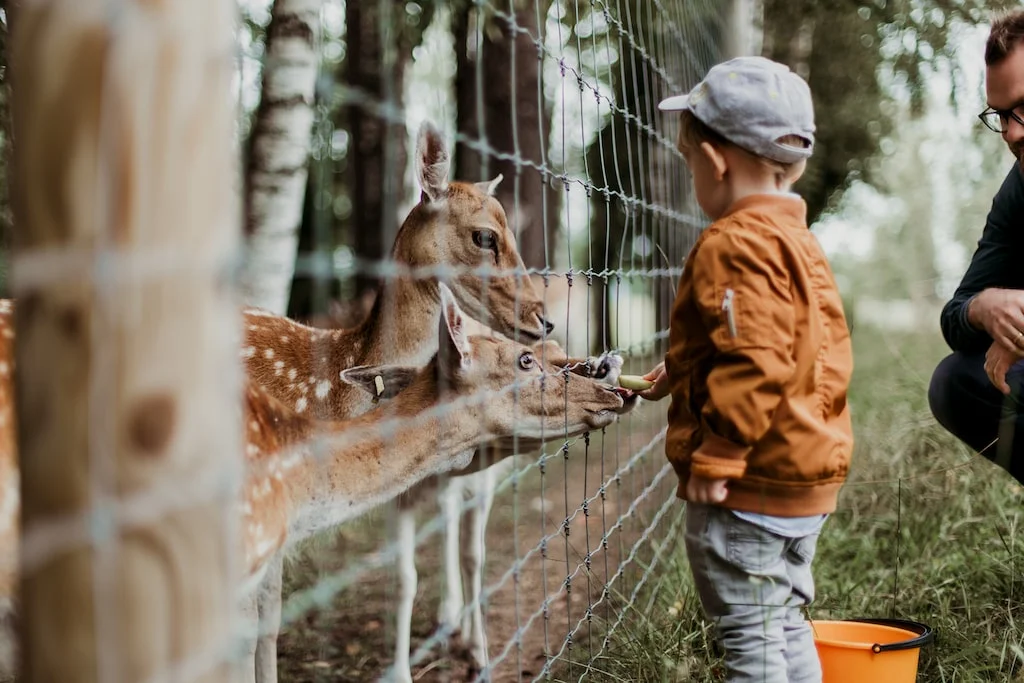 ZOO w Gdańsku - Zdjęcie główne