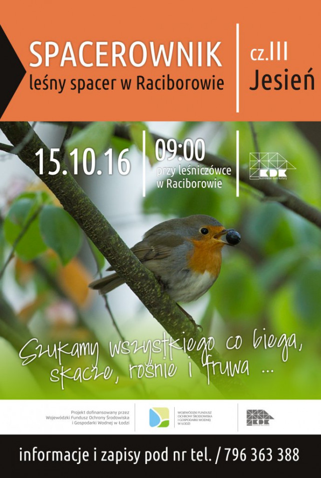 Spacerownik w Raciborowie - Zdjęcie główne