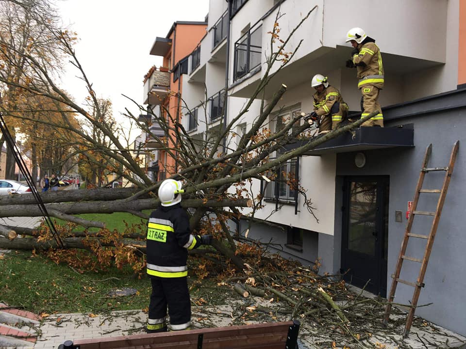 Drzewo przewróciło się na klatkę jednego z bloków przy ul. Matejki 