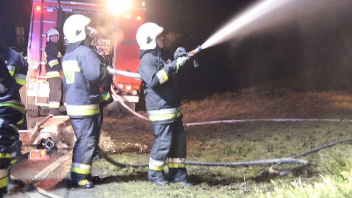 Ogromny pożar lasu. Do akcji ruszyli także strażacy z województwa łódzkiego