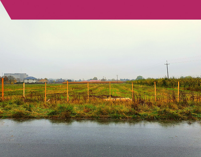 [FOTO] Wreszcie! Rozpoczyna się budowa Leroy Merlin w Kutnie - Zdjęcie główne