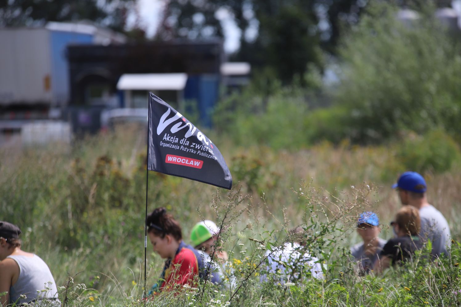 Pod kutnowską ubojnią zebrała się grupa wegan, którzy chcieli towarzyszyć zwierzętom jadącym na rzeź