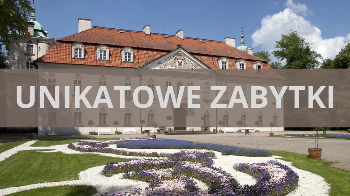 Do regionu trafią unikatowe zabytki. "Takie rzeczy możemy oglądać na Wawelu" - Zdjęcie główne