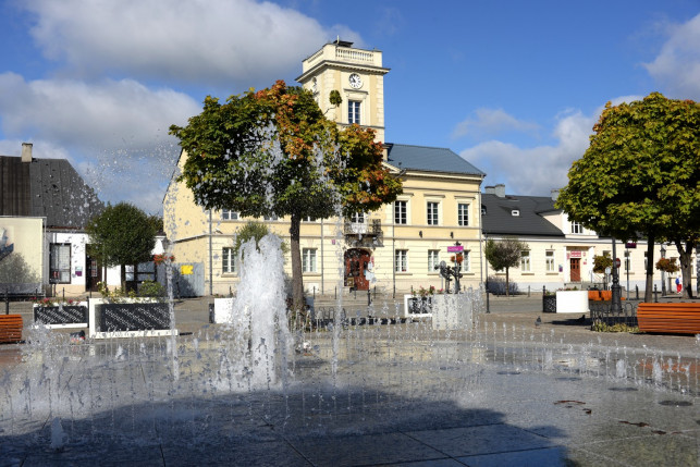Wkrótce wykład dr Anny Kowalskiej-Pietrzak w Muzeum Regionalnym - Zdjęcie główne