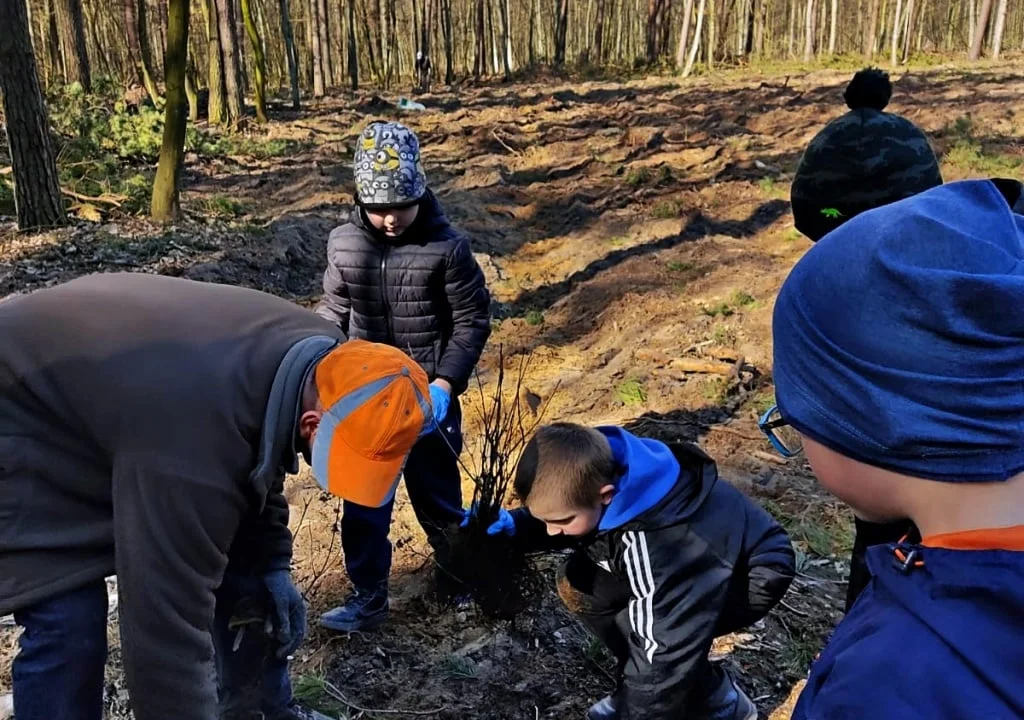 Pracowali wspólnie dla dobra przyrody. Za nami wielkie sprzątanie lasu pod Kutnem [FOTO] - Zdjęcie główne