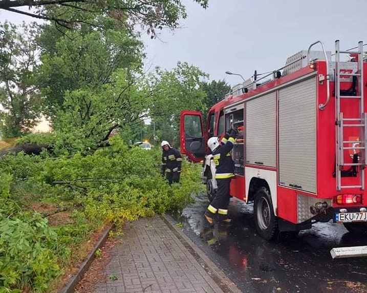 Służby podsumowują skutki nawałnicy. Strażacy podjęli blisko 100 intewencji - Zdjęcie główne