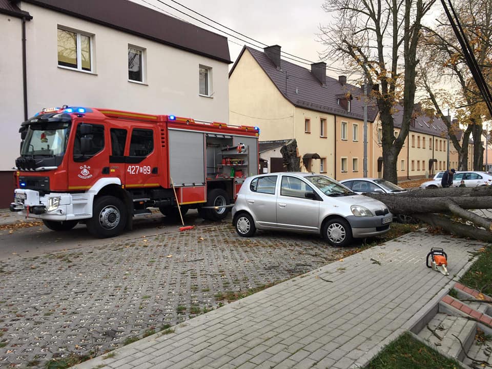 Drzewo przewróciło się na klatkę jednego z bloków przy ul. Matejki 