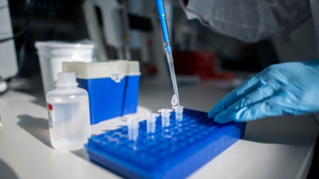 Koronawirus: cztery nowe zakażenia w powiecie kutnowskim - Zdjęcie główne