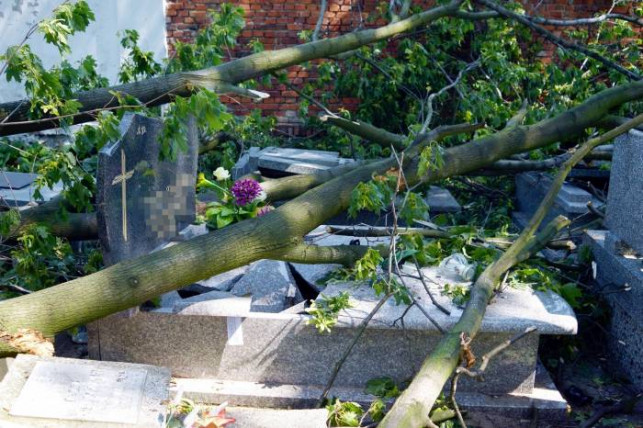 Wichura uszkodziła grób. Ubezpieczyciel nie chce wypłacić odszkodowania - Zdjęcie główne