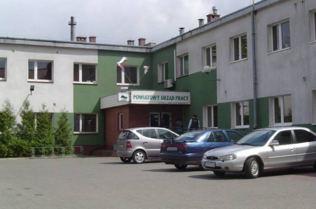 Grupowe zwolnienia w Tradis - Zdjęcie główne