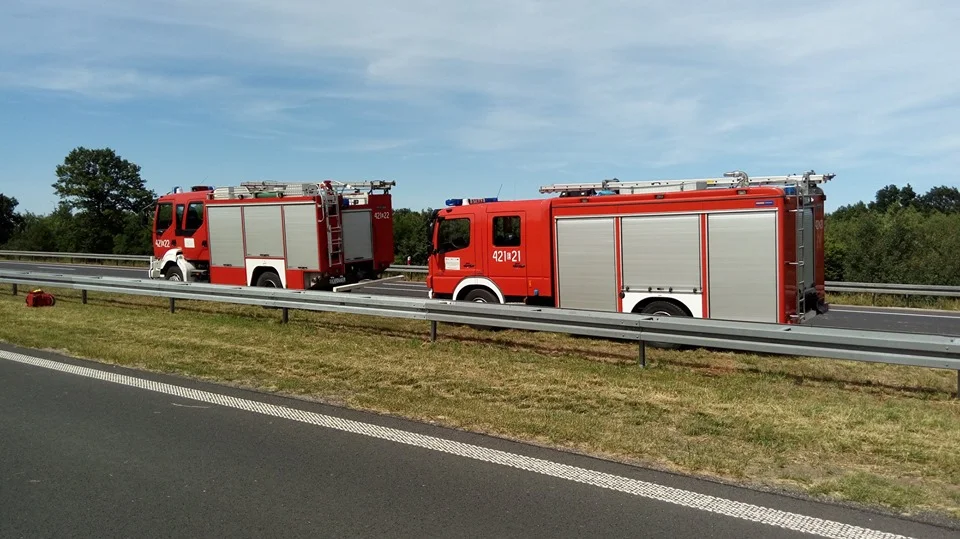 Groźnie na A1 pod Kutnem: dwa wypadki na jednym odcinku. Służby w akcji - Zdjęcie główne