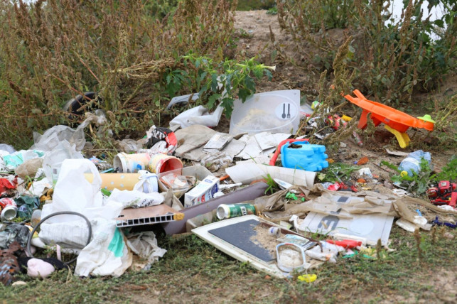 Koniec pobłażliwości: 5 tys. zł grzywny i prace społeczne! To kara dla tych, którzy... - Zdjęcie główne