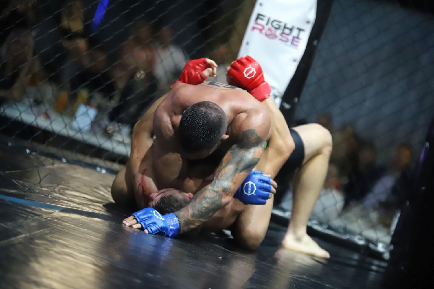 Za nami Gala FIght Rose Kutno