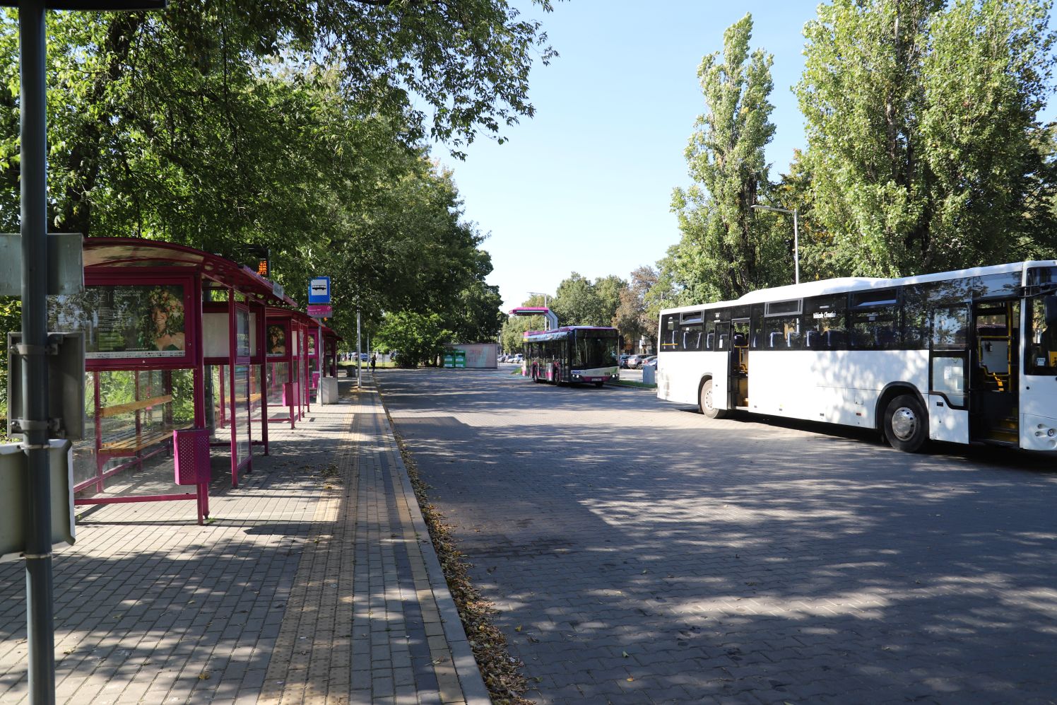 Przystanek z którego najczęściej korzystają Pan Kamil wraz z żoną znajduje się kilkadziesiąt metrów od ich bloku. Tymczasem oni muszą pokonywać znacznie dłuższy dystans