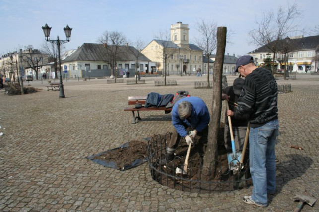 Wykopali klony - Zdjęcie główne