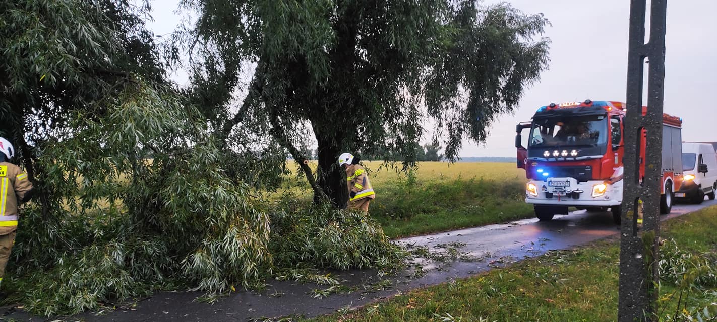 Połamane drzewa, zerwane dachy i liczne interwencje straży. Przez powiat kutnowski przeszła nawałnica