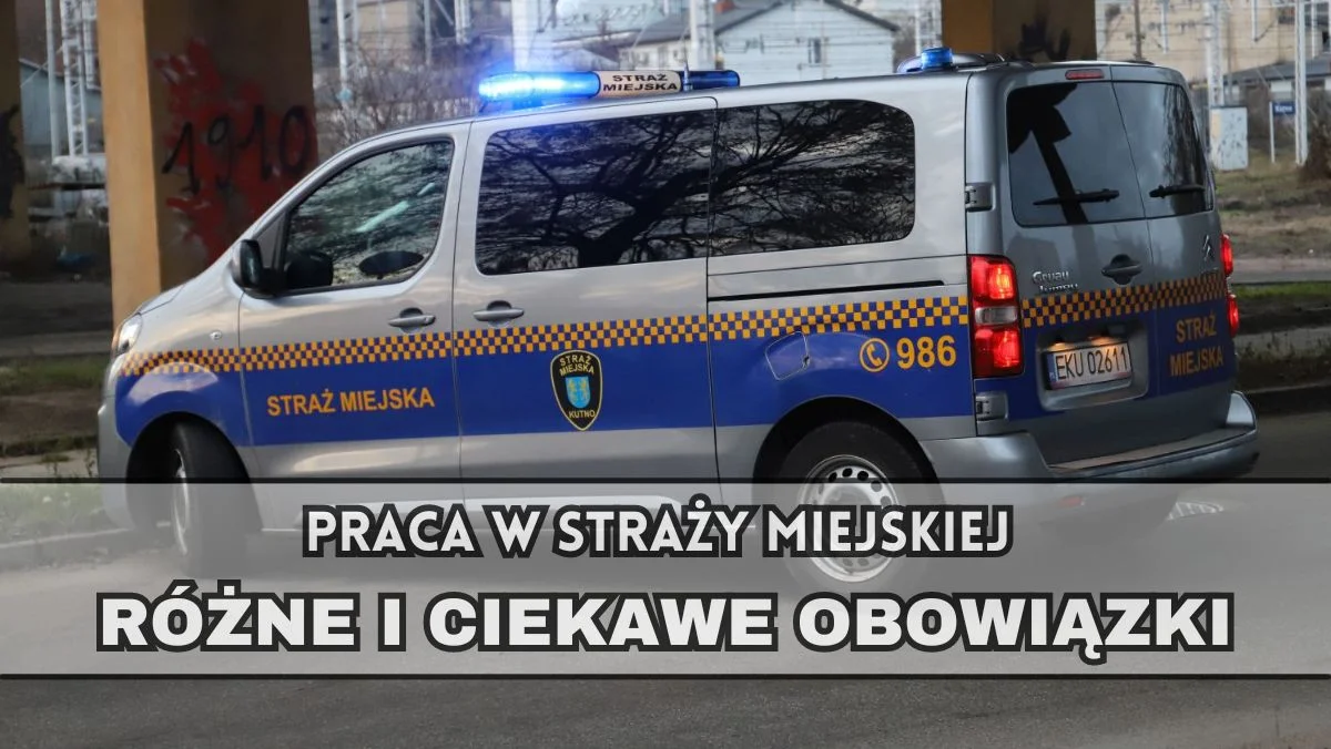 Szukasz ciekawej pracy? Straż Miejska ogłasza rekrutację - Zdjęcie główne