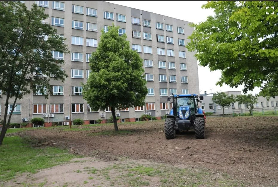 Co z przyszpitalnym parkiem? Potrzebni sponsorzy, na jutro zaplanowano spotkanie pod placówką - Zdjęcie główne