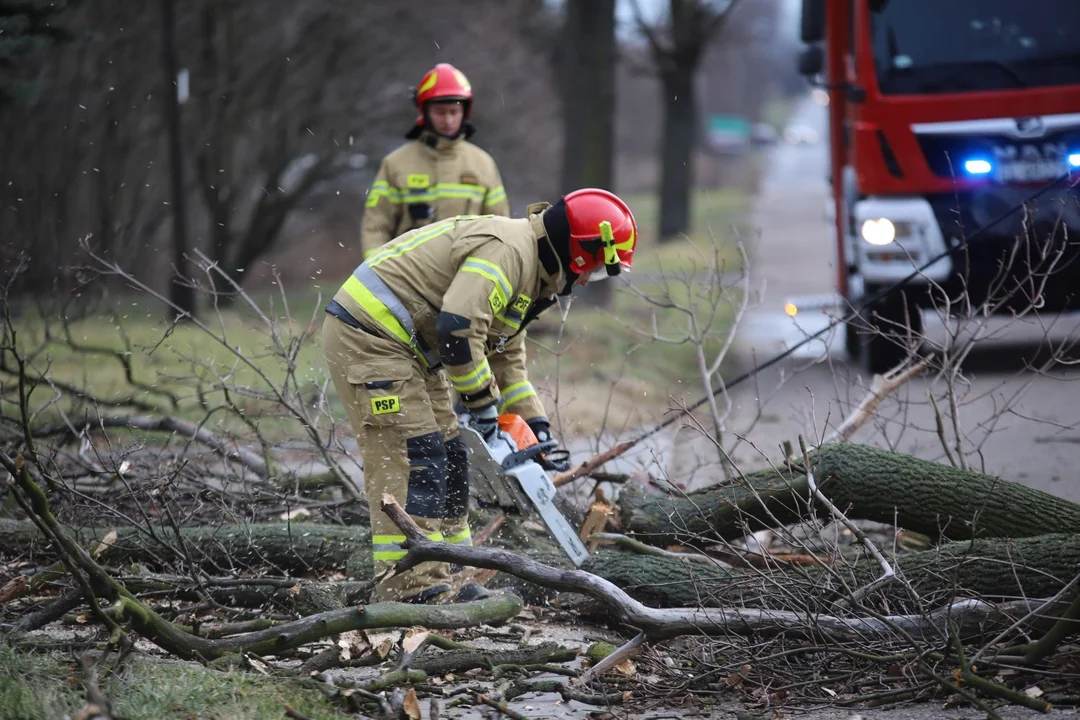 Fatalna pogoda w Kutnie i okolicach. Liczne interwencje straży pożarnej [AKTUALIZACJA] - Zdjęcie główne