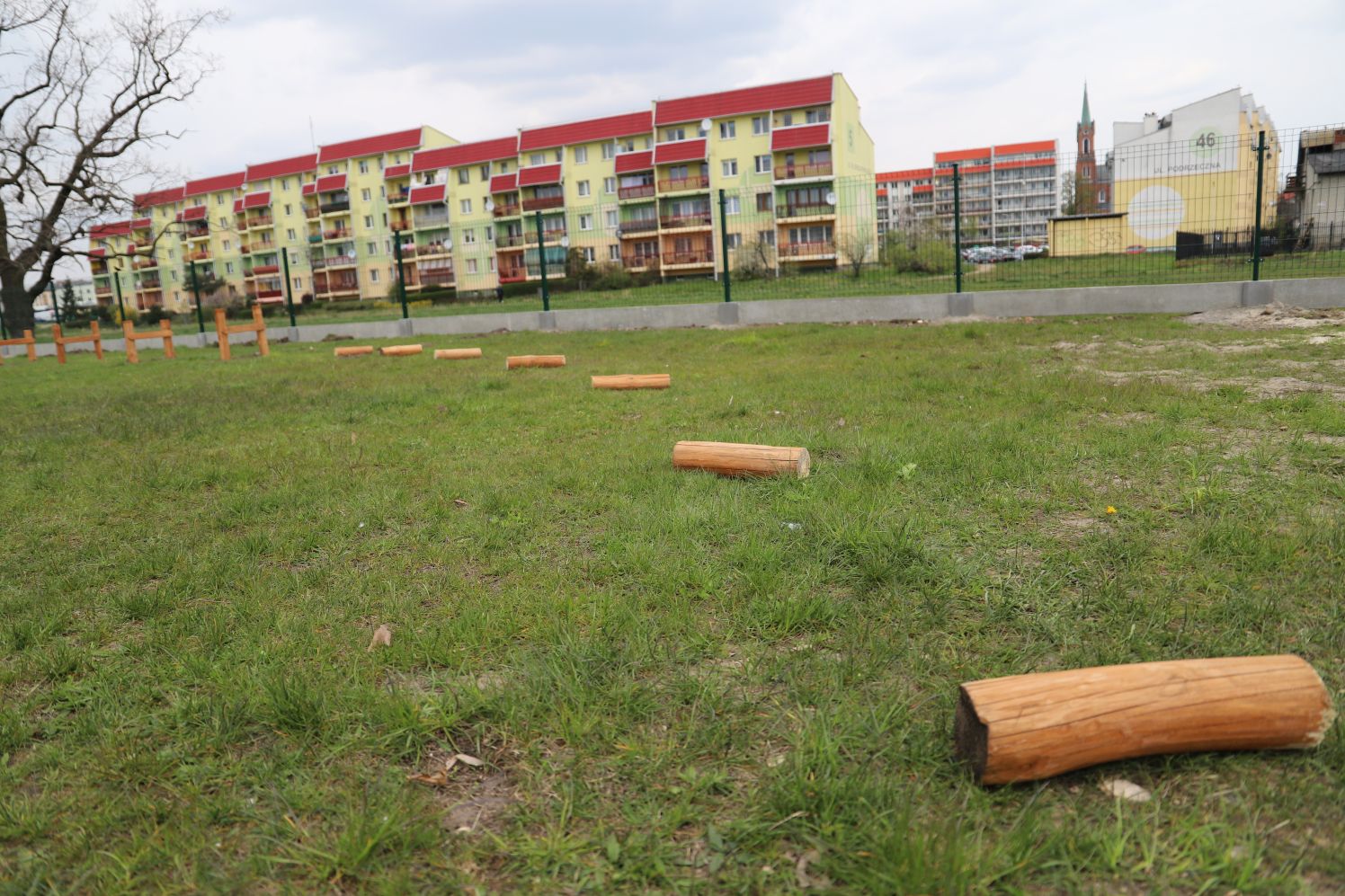 W kutnowskim parku pojawił się wybieg dla psów