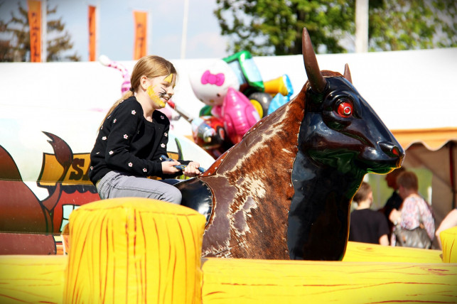 [FOTORELACJA /WIDEO] Dzień Rolnika 2017!  - Zdjęcie główne