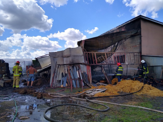[ZDJĘCIA] Pożar pod Żychlinem. Błyskawiczna akcja straży - Zdjęcie główne