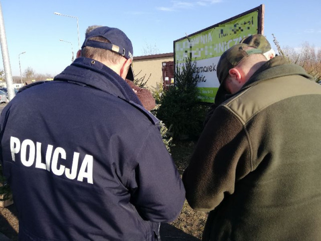 Nielegalne choinki? Policjanci i strażnicy kontrolują sprzedaż - Zdjęcie główne