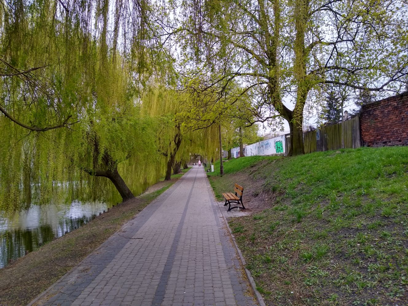 Wiosna powoli daje o sobie znać w kutnowskich parkach i na ulicach naszego miasta