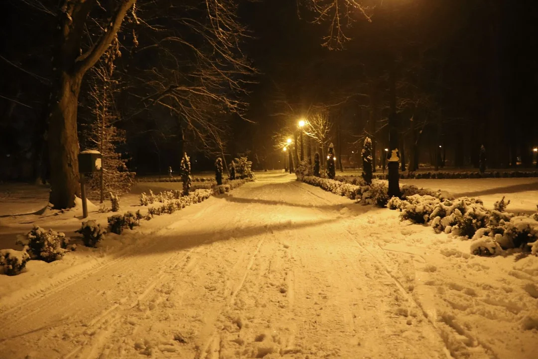 Park Wiosny Ludów w Kutnie