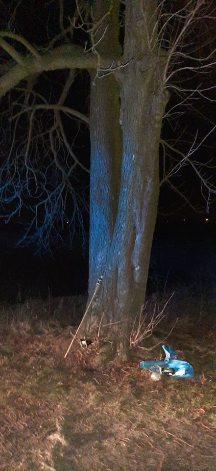 [FOTO] Strażacy ratowali kotka. Zwierzak utknął w... - Zdjęcie główne