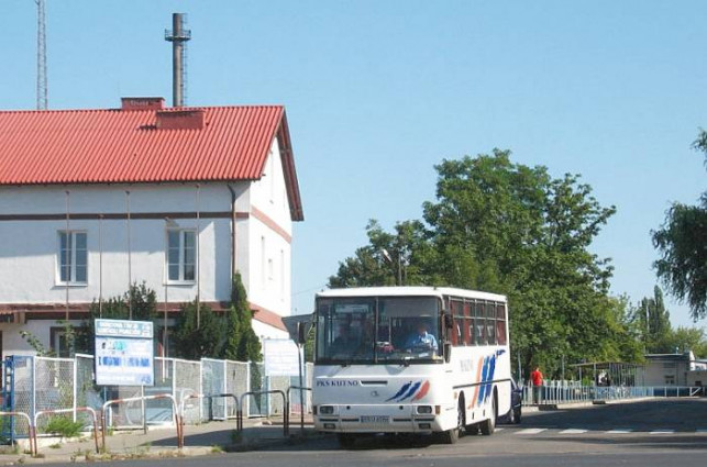 Autobusowa rewolucja w Kutnie? - Zdjęcie główne