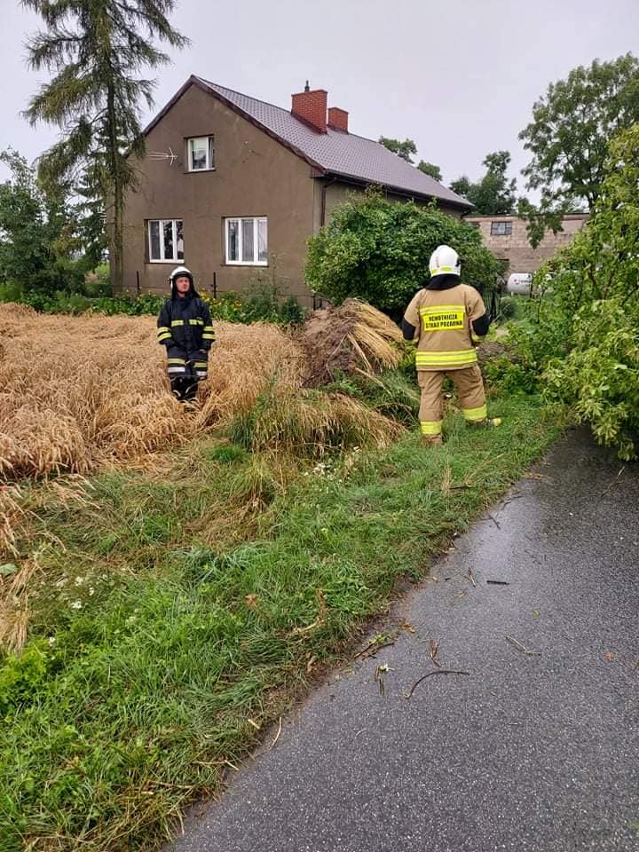 W powiecie kutnowskim mozliwe załamanie pogody, mieszkańcy otrzymują ostrzeżenia RCB i z IMGW