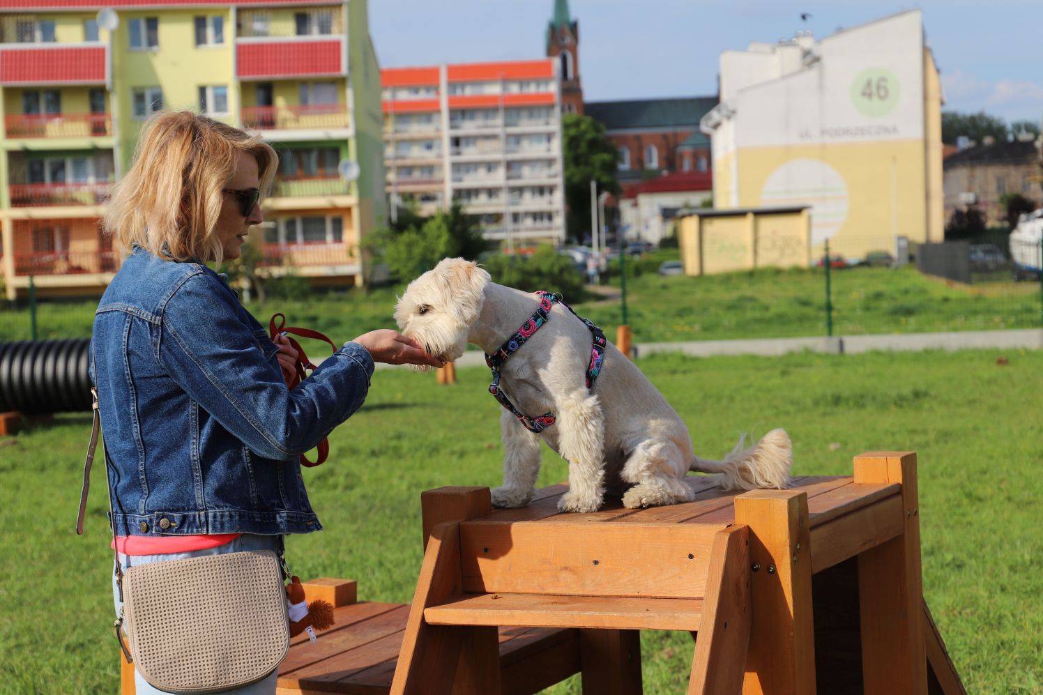 Psi park w Kutnie cieszy się dużą sympatią czworonogów i ich właścicieli