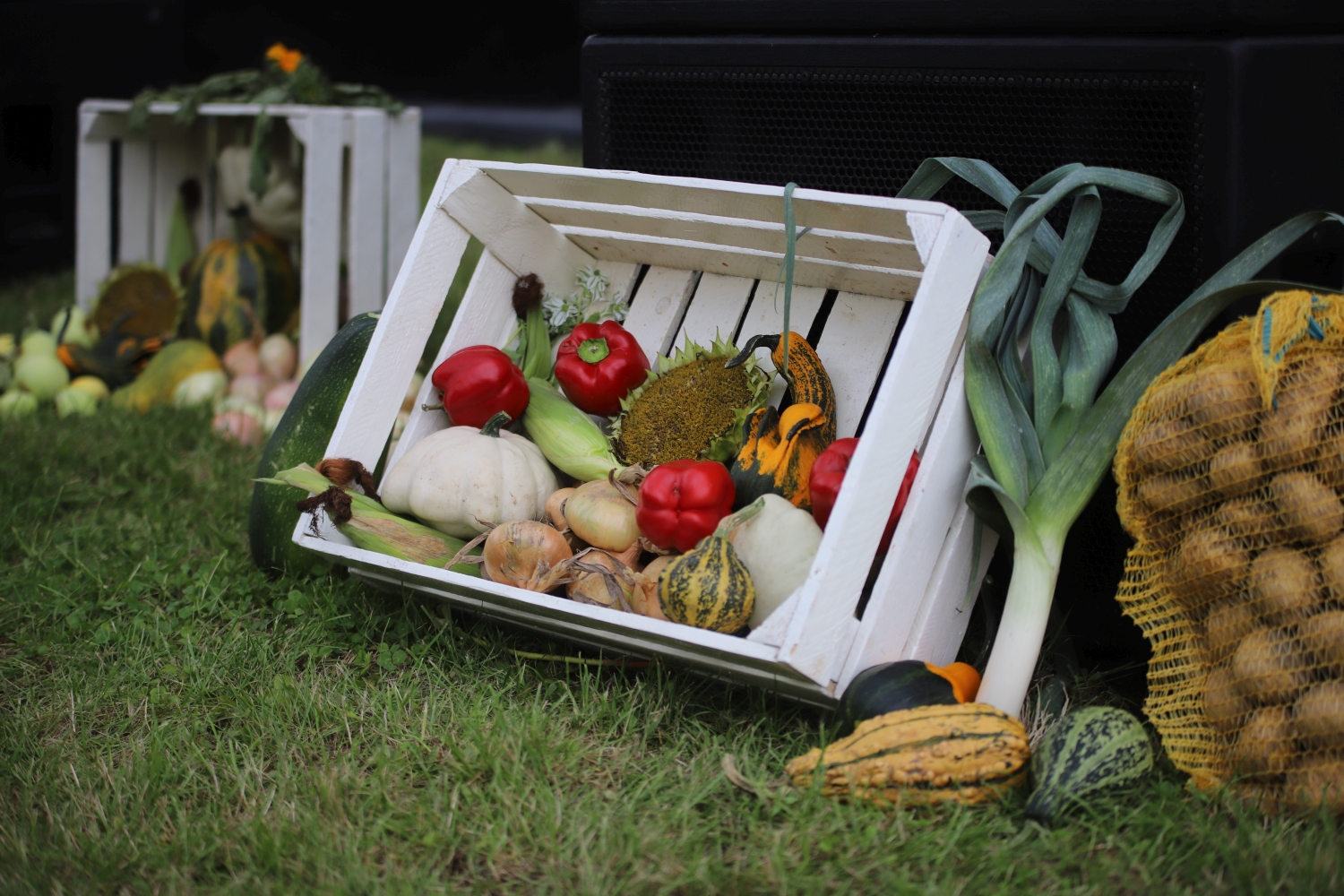Dożynki gminy bedlno odbyły się na boisku w Wojszycach