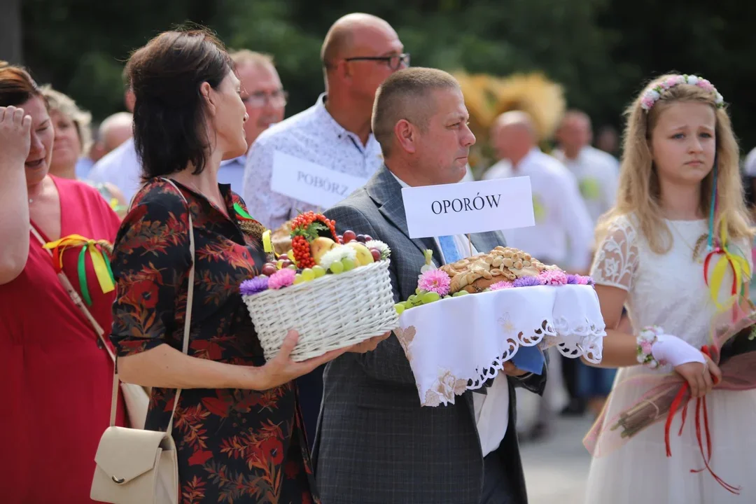 Koncerty, wata cukrowa i dmuchańce. Znamy program dożynek w Oporowie - Zdjęcie główne