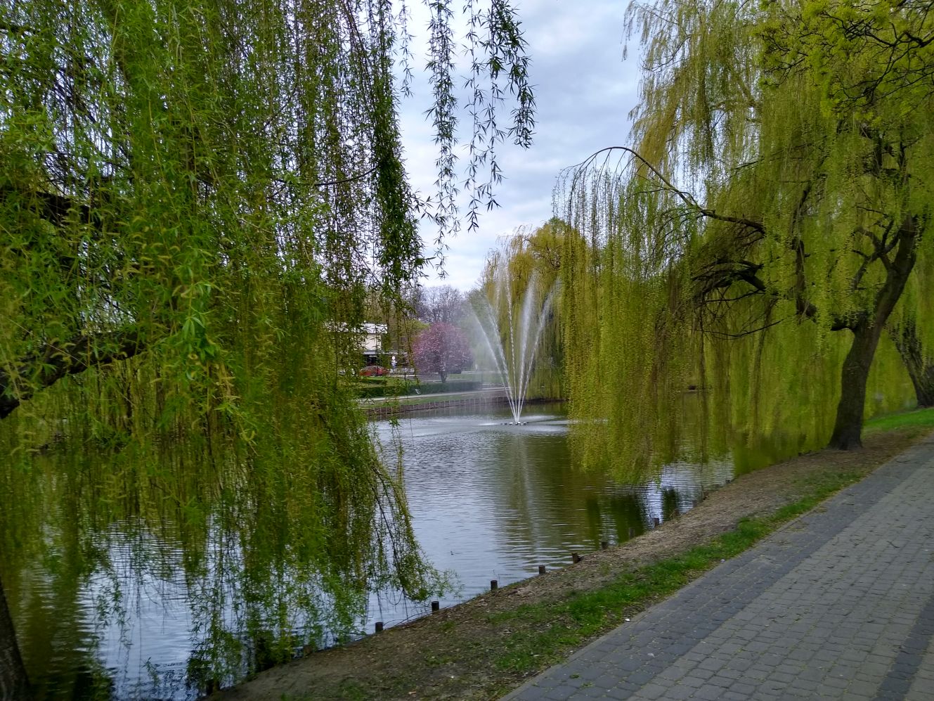 Wiosna powoli daje o sobie znać w kutnowskich parkach i na ulicach naszego miasta