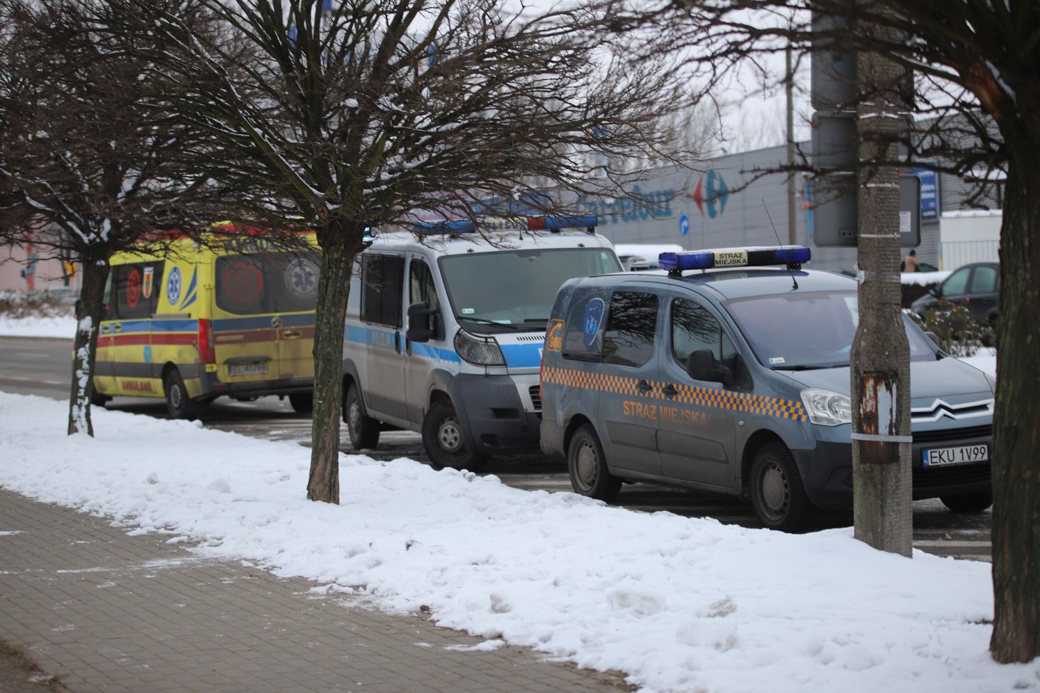 Zbliżają się duże mrozy! Zwracajmy uwagę na bezdomnych i zwierzęta - Zdjęcie główne