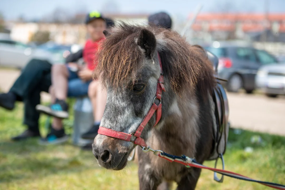 Lunapark Felner - majówka w Kutnie 2022