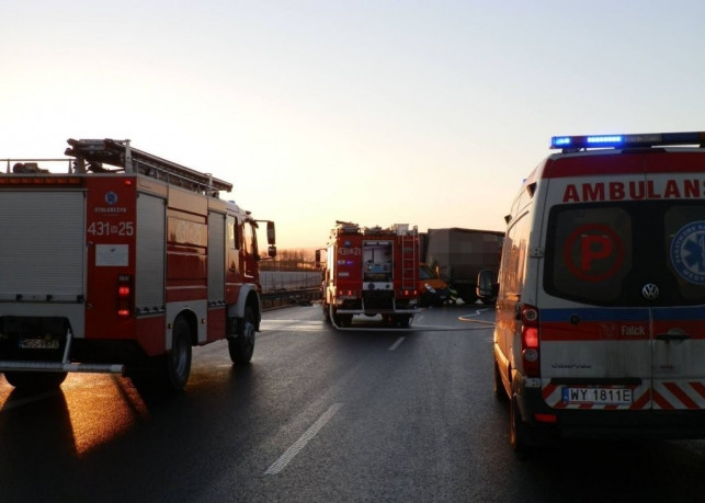 Niebezpiecznie na A1. Strażacy z Kutna na pomoc w sąsiednim powiecie - Zdjęcie główne