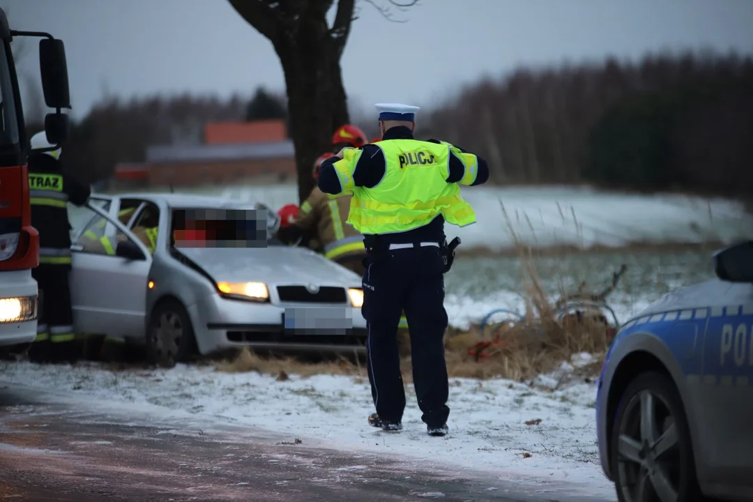 W Grochowie pod Kutnem samochód uderzył w drzewo