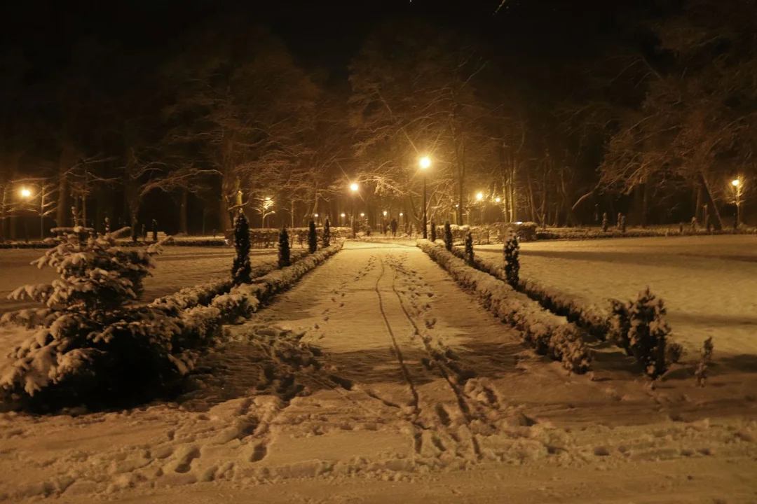 Park Wiosny Ludów w Kutnie