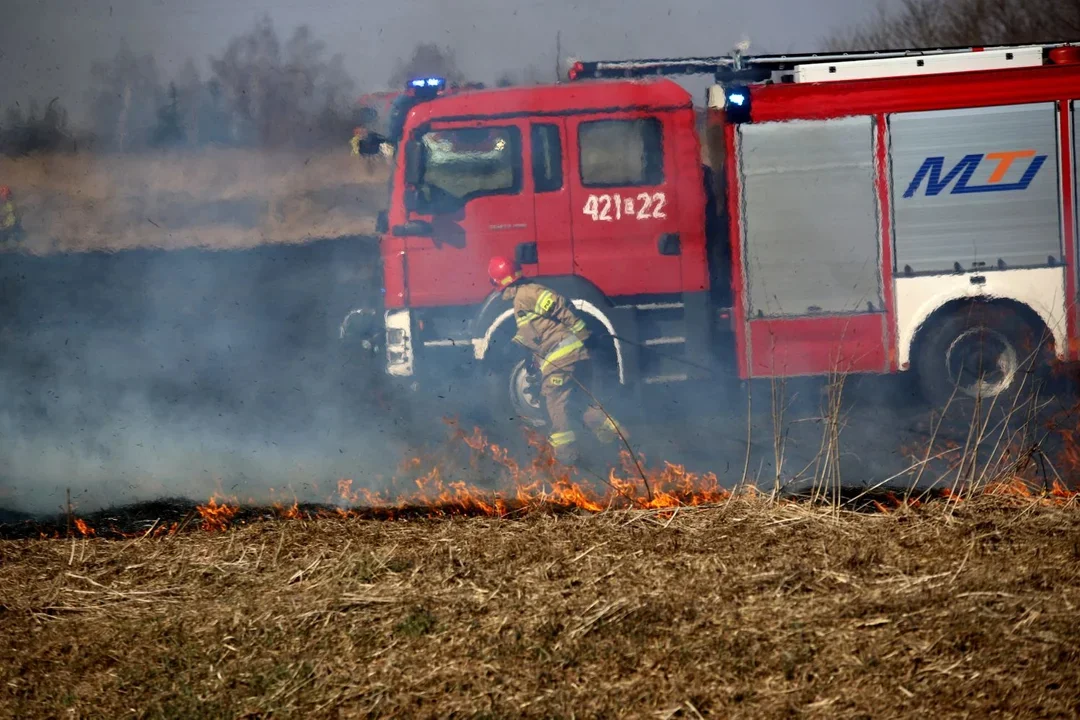 W tych pożarach giną ludzie i zwierzęta. Kutnowscy strażacy ostrzegają i apelują do mieszkańców  - Zdjęcie główne