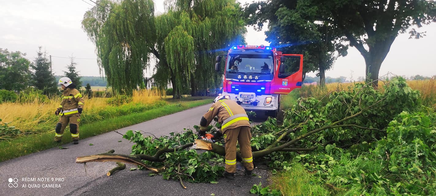 Połamane drzewa, zerwane dachy i liczne interwencje straży. Przez powiat kutnowski przeszła nawałnica