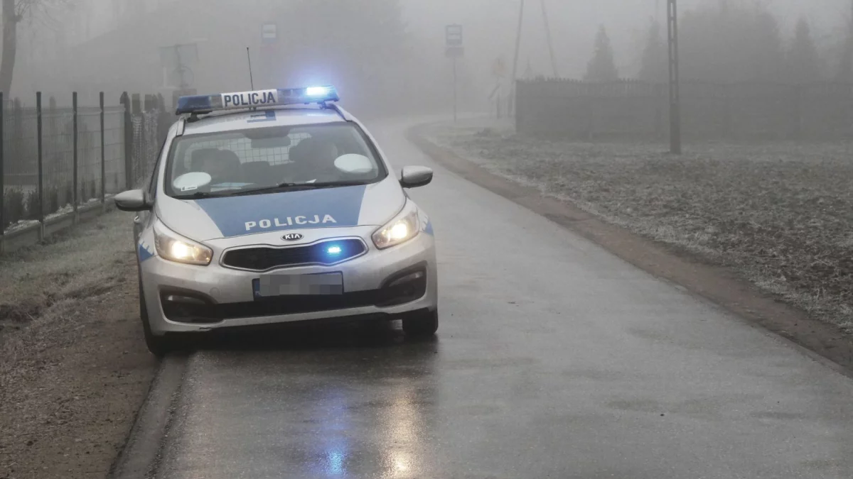 Dziesiątki mandatów. Policja ukarała kierowców. Za co? - Zdjęcie główne