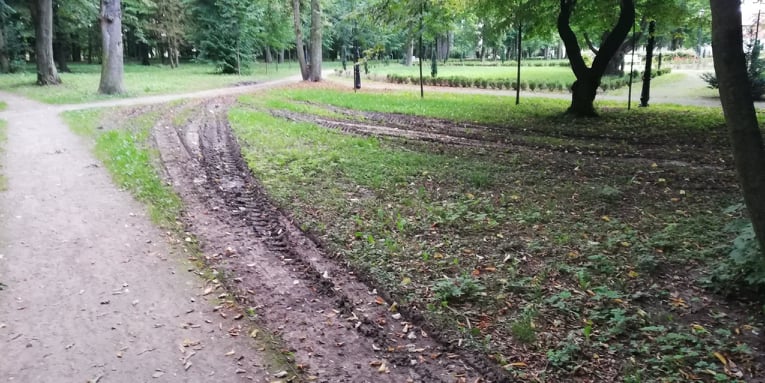 Niedokończone prace i porozjeżdżane ścieżki w Parku Wiosny Ludów. Co dalej z uszkodzoną zielenią?