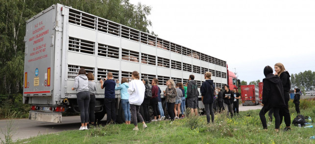 To będzie kolejny protest i czuwanie wegan pod kutnowską ubojnią