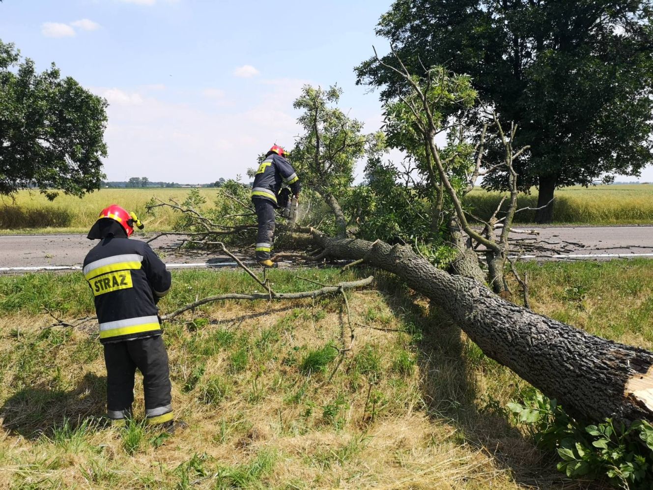 W powiecie kutnowskim w wyniku załamania pogody i nawałnic strażacy odnotowali ponad 270 wyjazdów