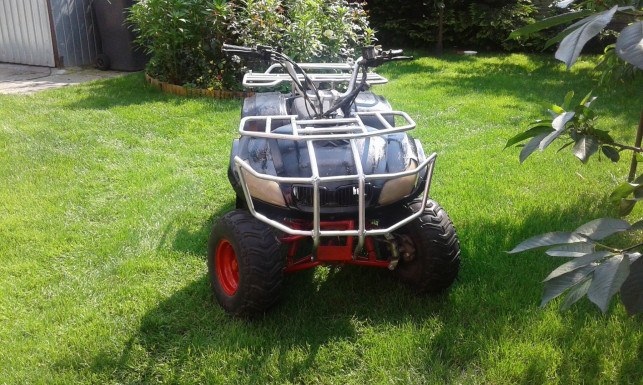 Pini Polonia wnioskuje o wydłużenie terminu - Zdjęcie główne